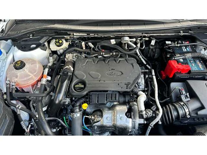 Ford Kuga KUGA 1.5 EcoBlue ST-Line X 5dr 